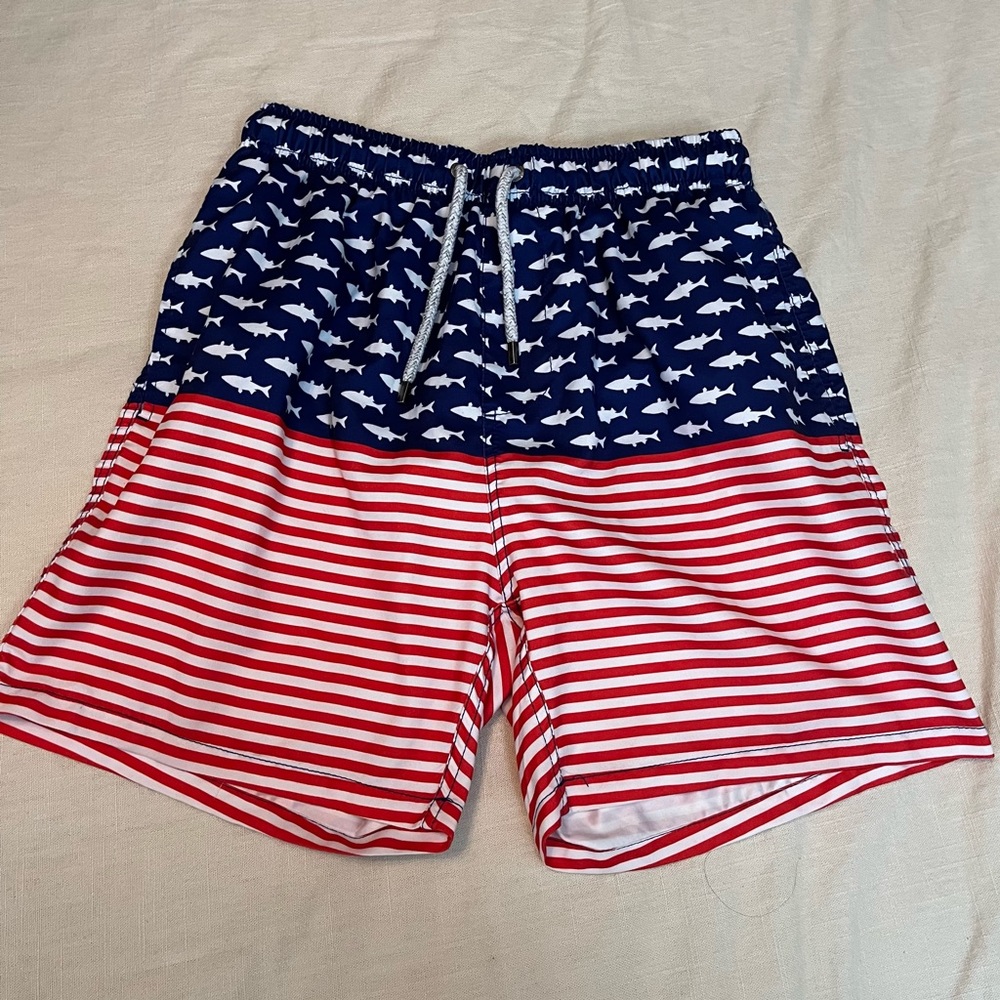 The Endless Summer American Flag Swimsuit